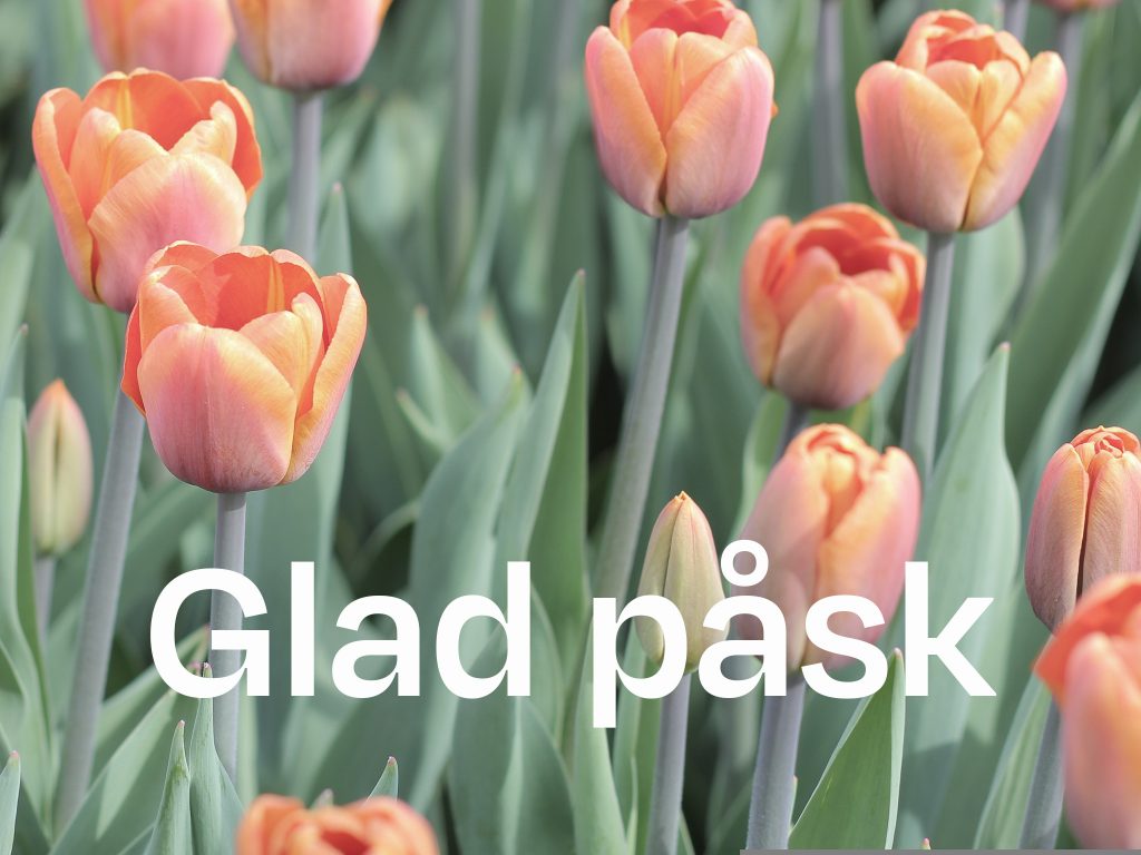 Vi önskar er alla en riktigt härlig påsk