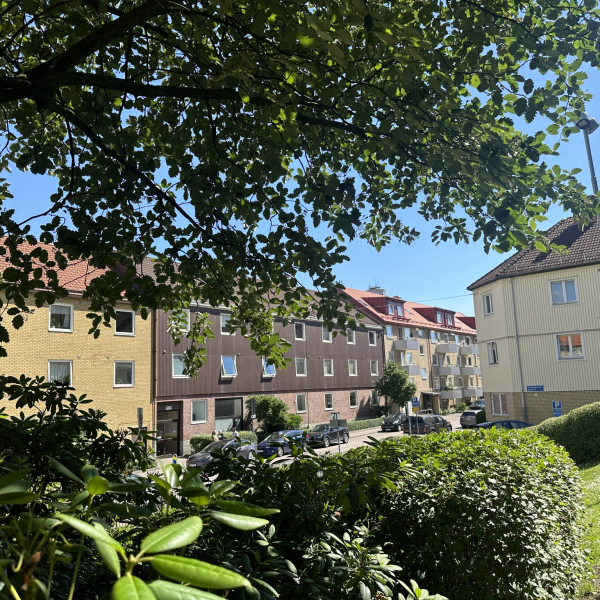 Karlagatan 20