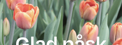 Vi önskar er alla en riktigt härlig påsk