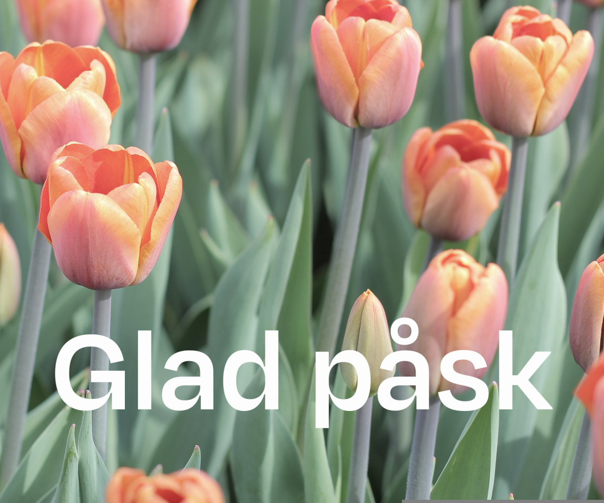 Vi önskar er alla en riktigt härlig påsk