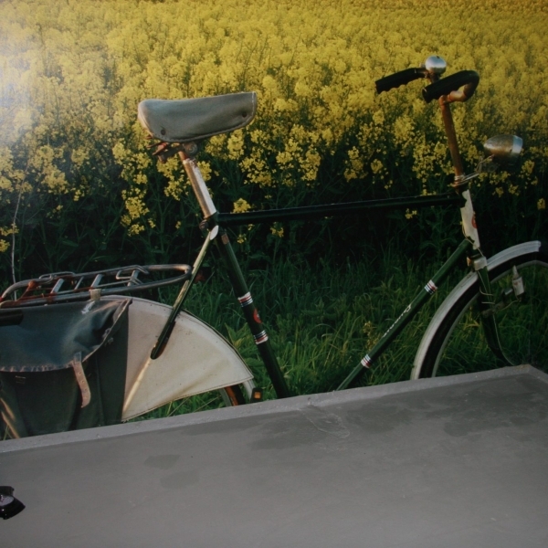 Ett cykelrum i Annedal Ett cykelrum i Annedal
