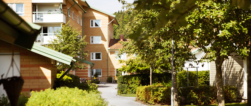 Bäckmans gård 42-64